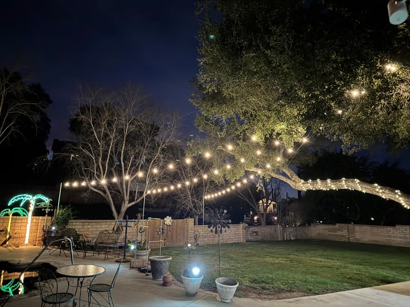 Backyard with string lights running to a large lit tree