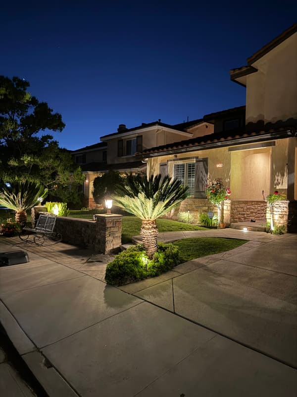 Front yard at dusk with landscape lighting on palms, planters and the entry